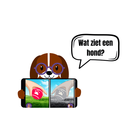 Wat ziet een Hond?