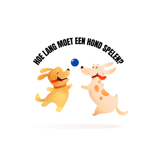 Illustratie van twee blije honden die spelen met een blauwe bal, met de tekst “Hoe lang moet een hond spelen?” erboven.