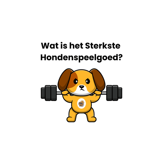 Illustratie van een stoere hond die een zware halter tilt, met de tekst: "Wat is het Sterkste Hondenspeelgoed?