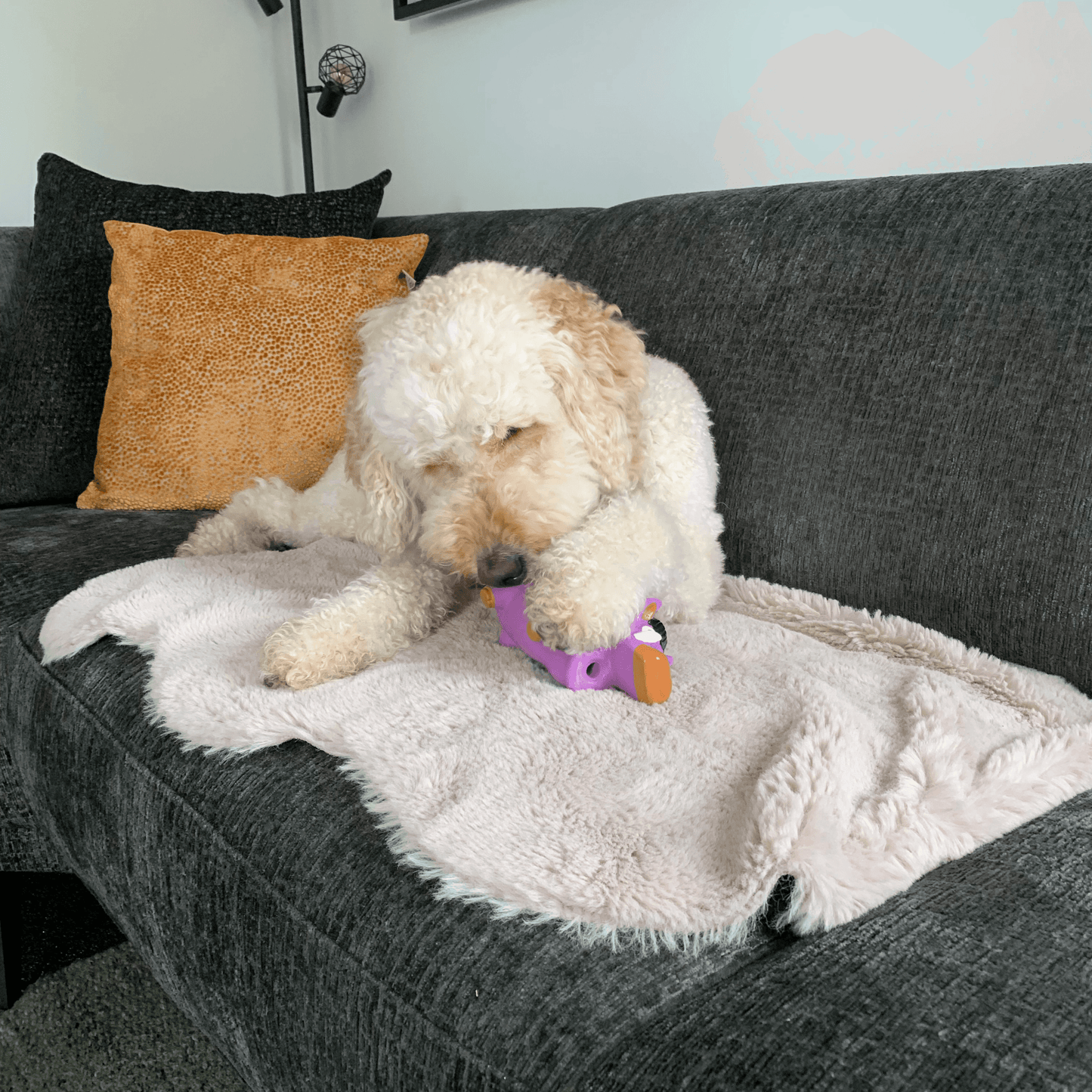 Een hond ligt op de bank en bijt in een latex speeltje in de vorm van een paars zwijn, dat een piepend geluid maakt.