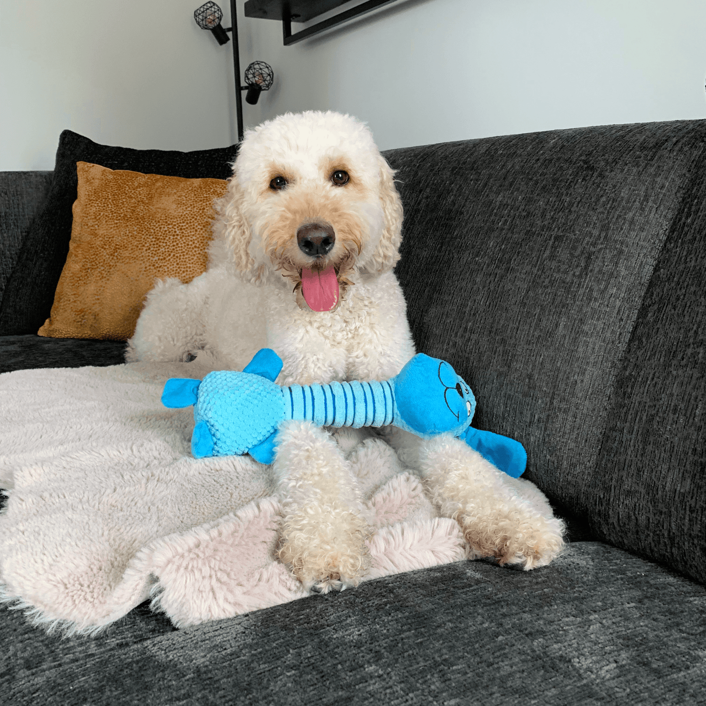 Hond op grijze bank met Langnek Lekkerbek knuffel. Zachte hondenknuffel met piep voor speelplezier en knuffelmomenten.