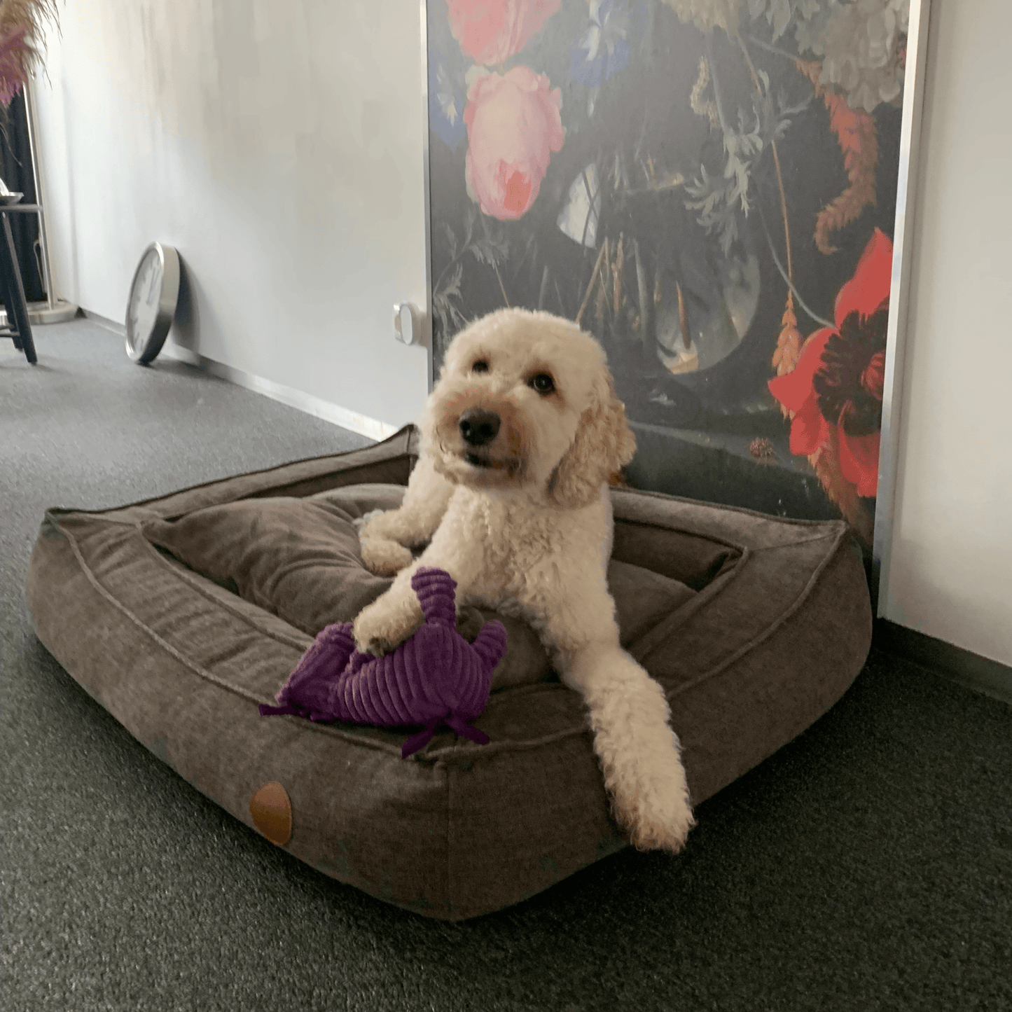 Witte hond op een bruin hondenbed met Nelly Neushoorn, een paarse pluchen neushoorn met een piepje erin.