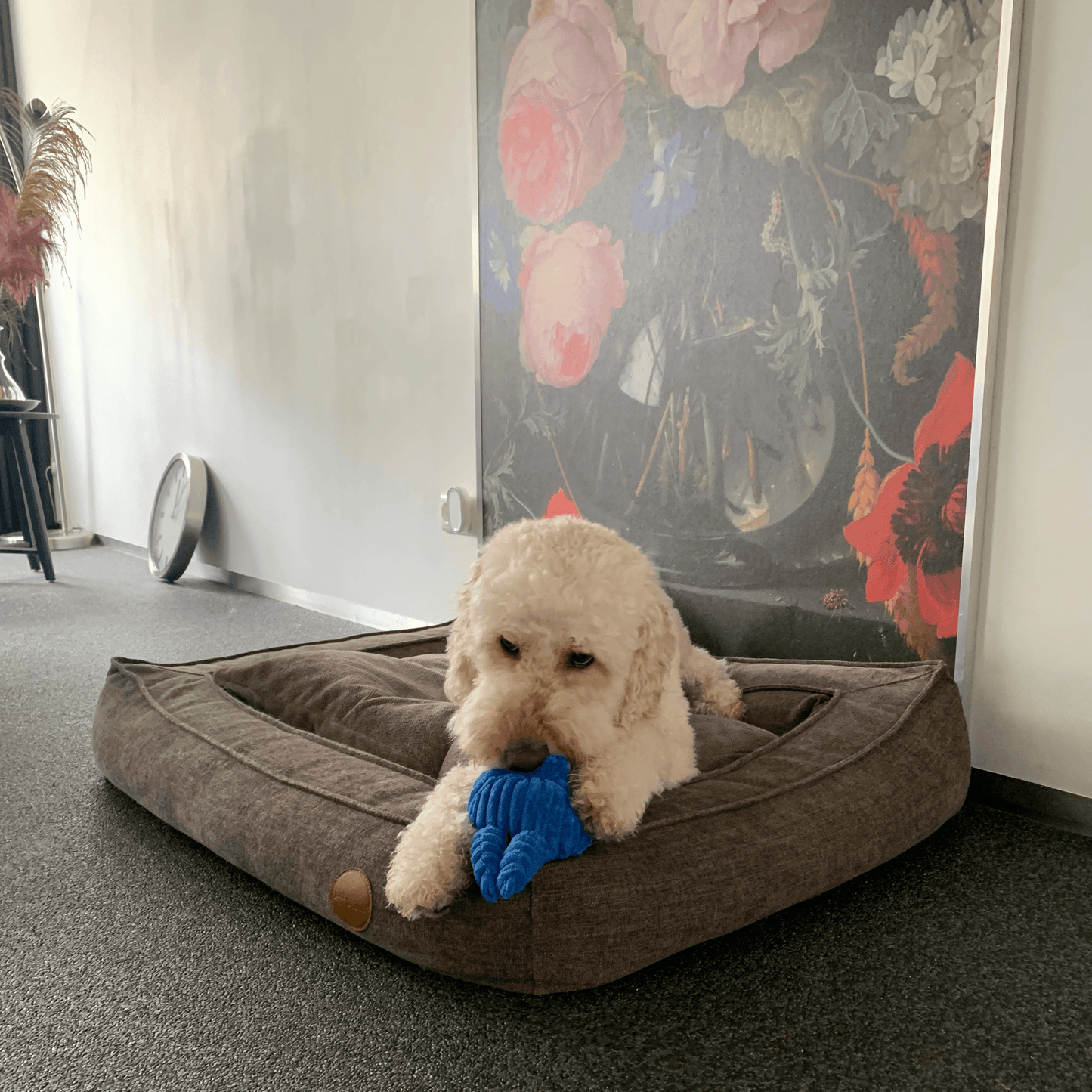 Hond ligt op een hondenkussen en kauwt op een blauwe pluche knuffel Beer Baloe met een piepje erin.