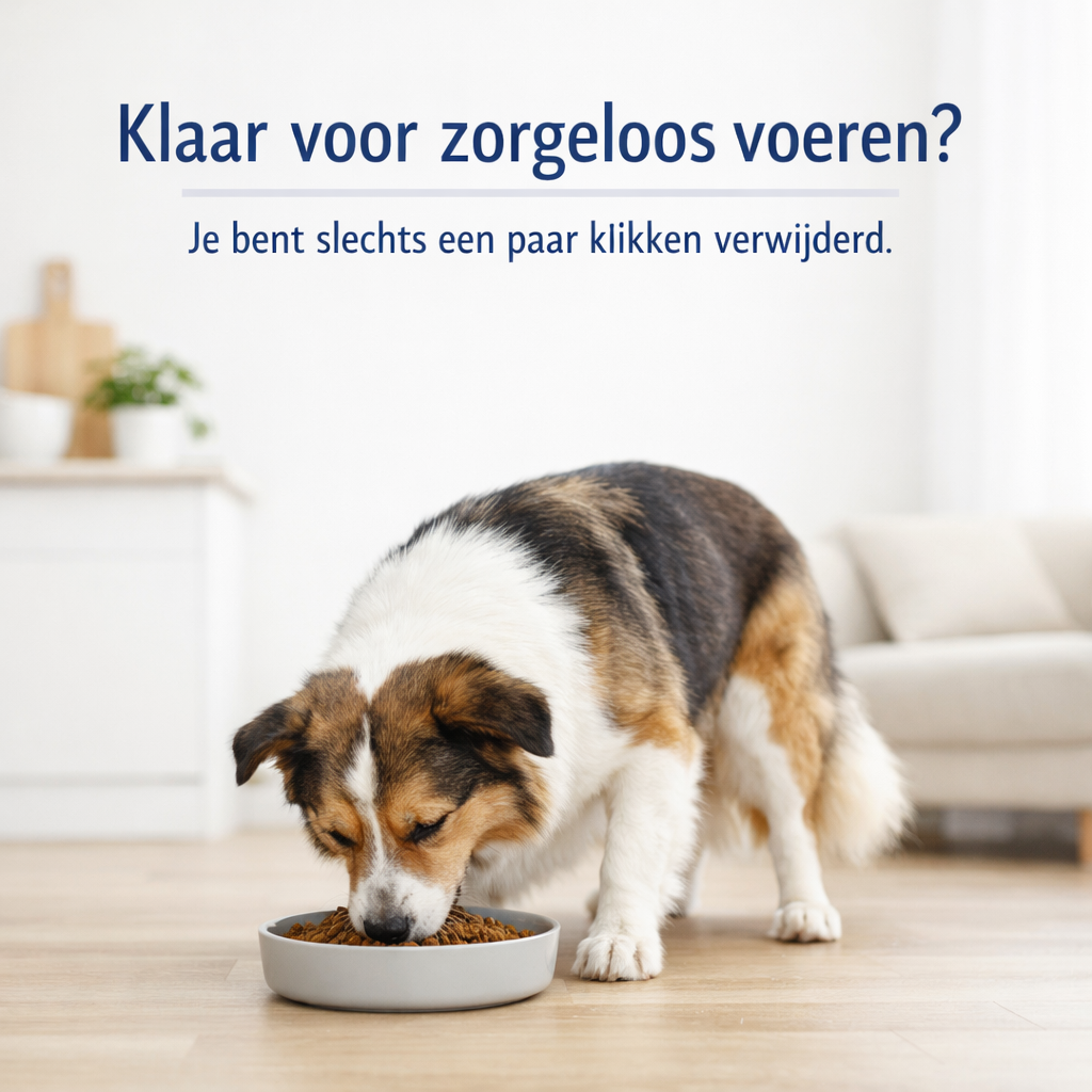 Hondenvoer abonnement - 12kg Mono Chicken