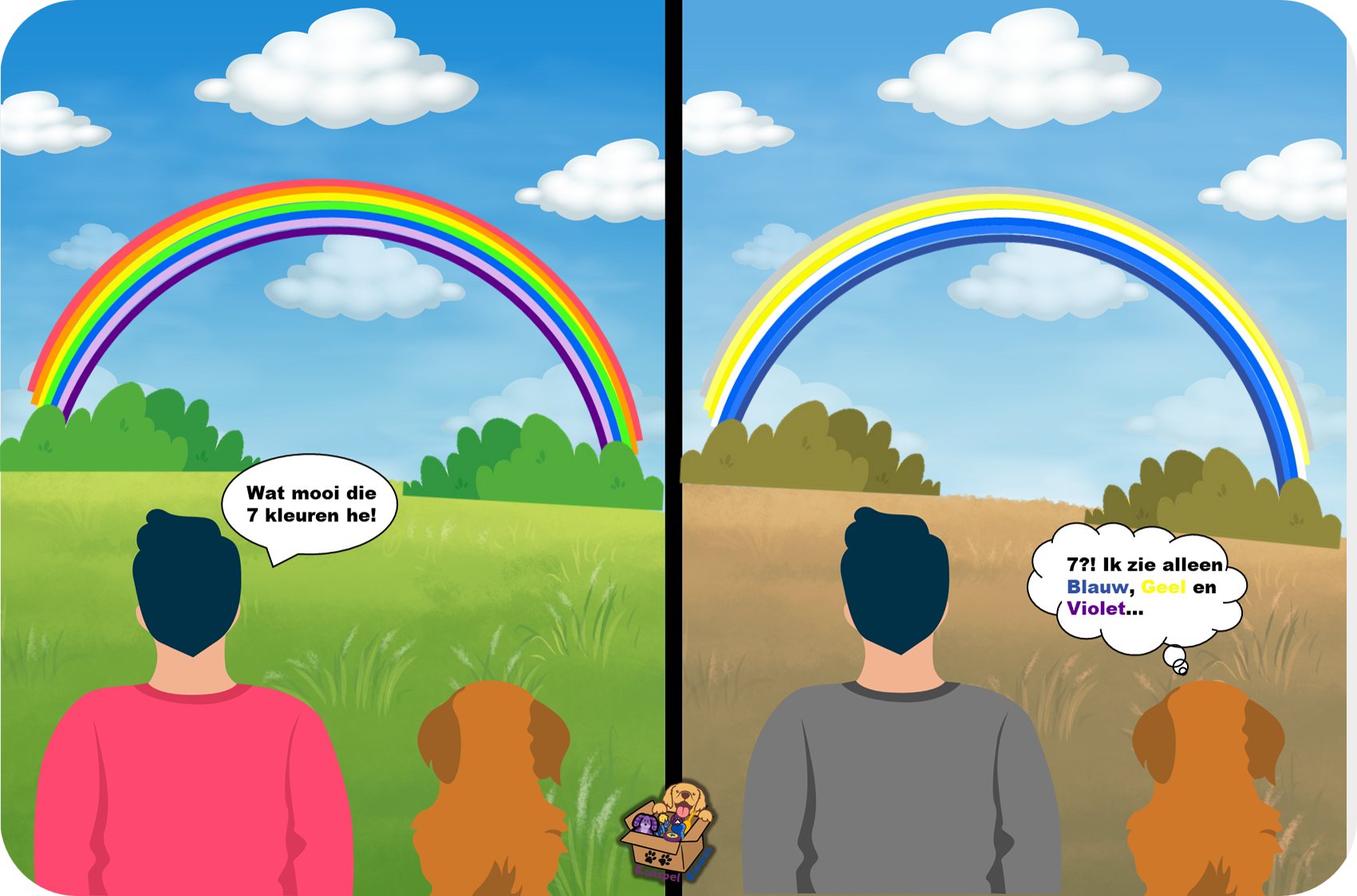 Illustratie van een regenboog zoals mensen en honden die zien: links met zeven kleuren, rechts alleen blauw, geel en violet zoals honden waarnemen.