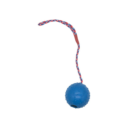 Werp- en Beloningsbal