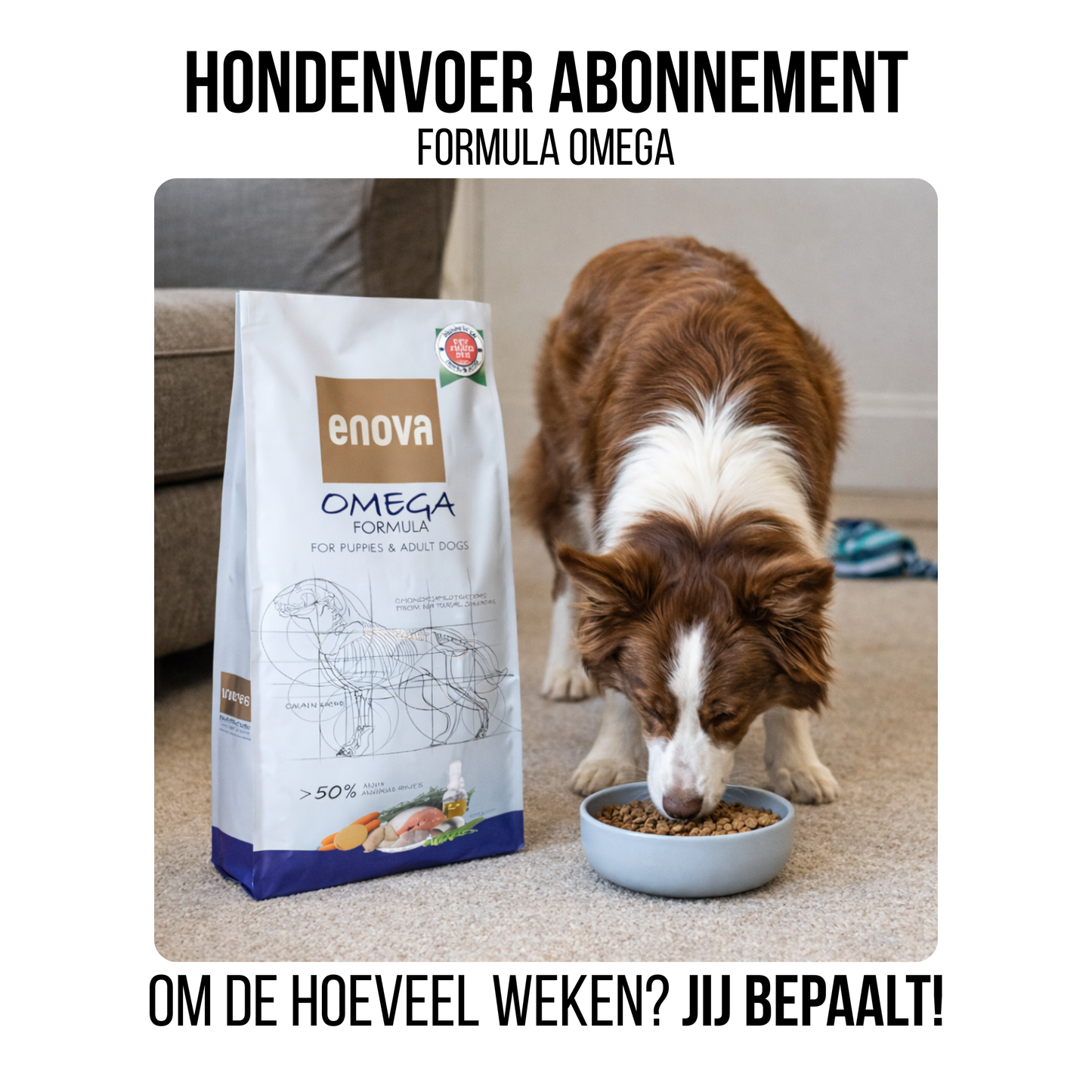 Hondenvoer abonnement - 12kg Formula Omega