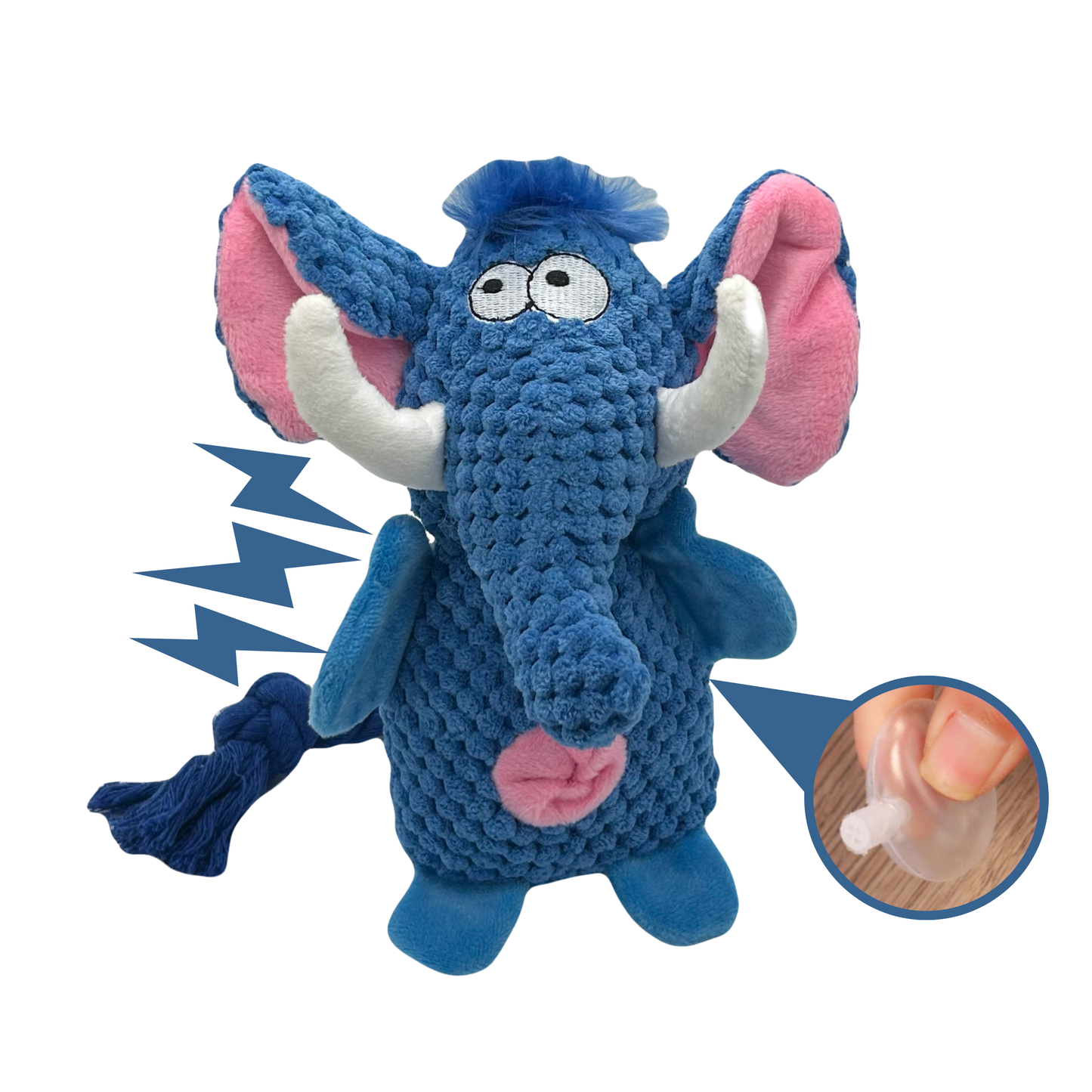Olifant Otis