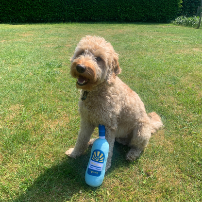 Hond met knuffel fles tequila