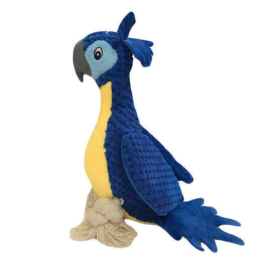 Papegaai Paco