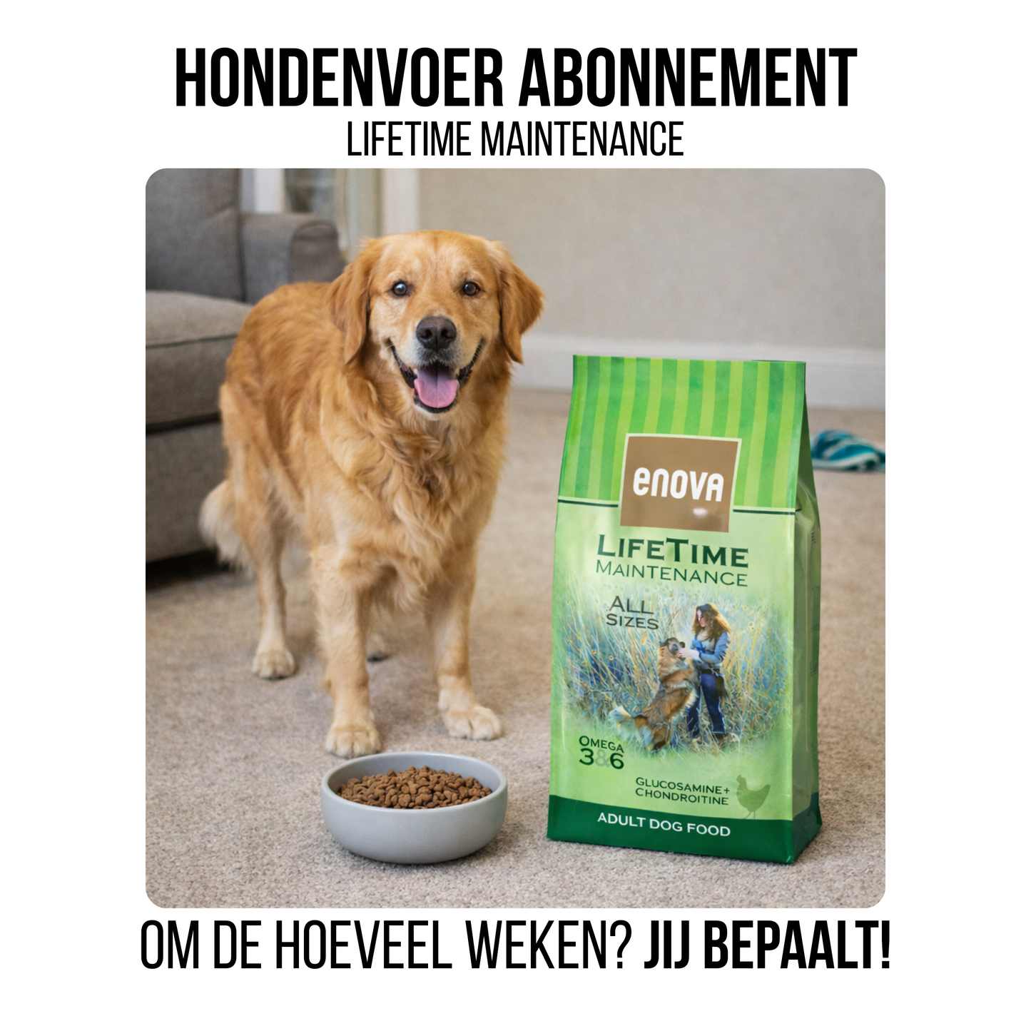Hondenvoer abonnement - 12kg Lifetime Maintenance