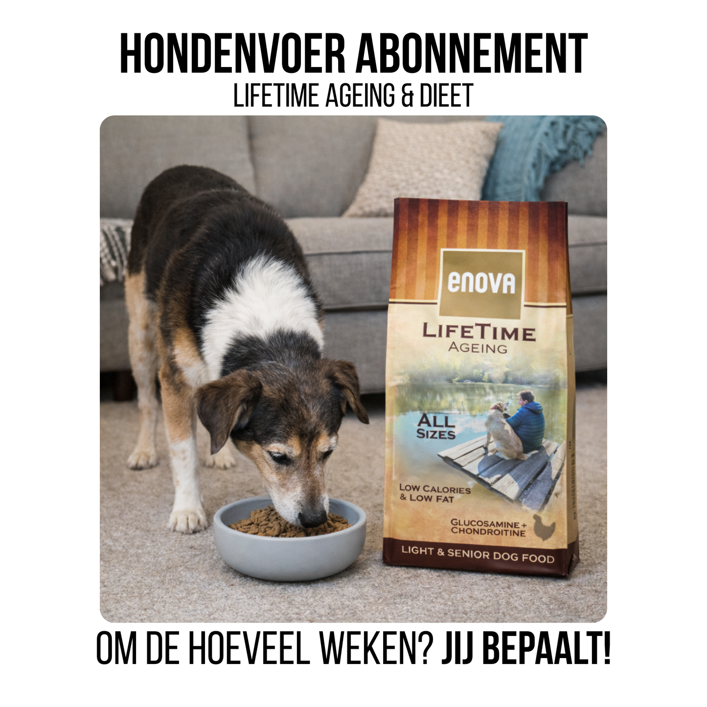 Hondenvoer abonnement - 12kg Lifetime Ageing & Dieet