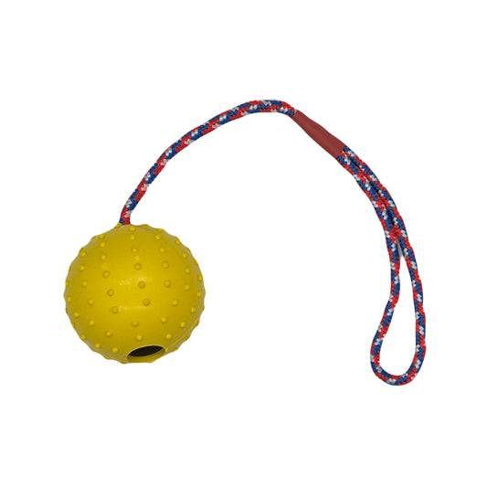 Werp- en Beloningsbal