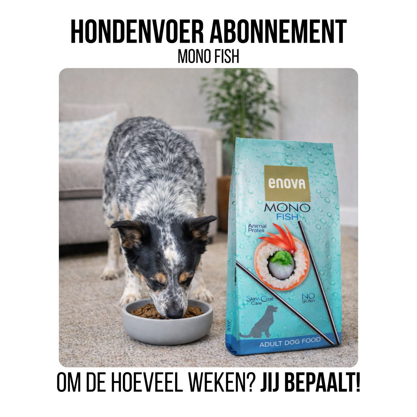 Hondenvoer abonnement - 12kg Mono Fish