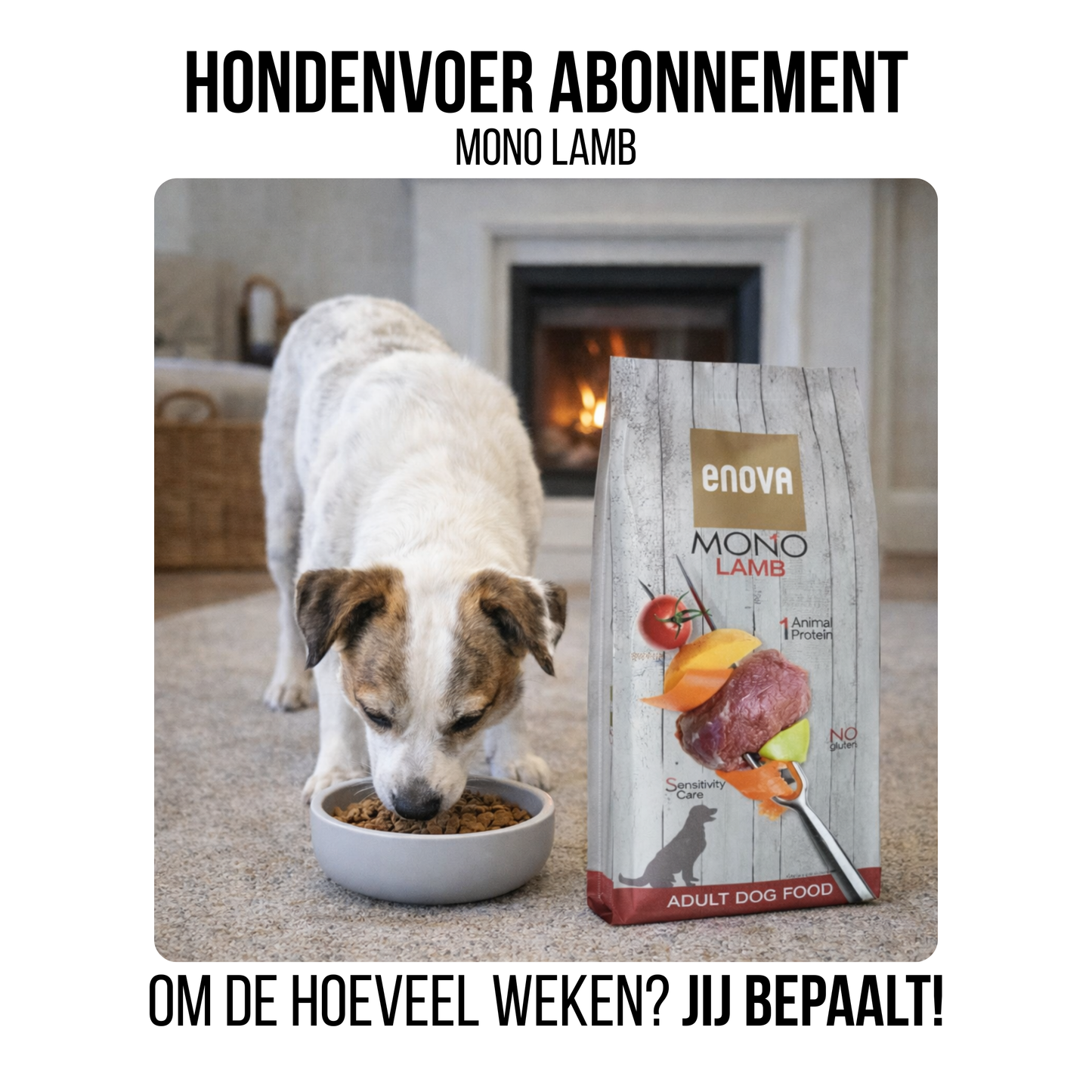 Hondenvoer abonnement - 12kg Mono Lamb