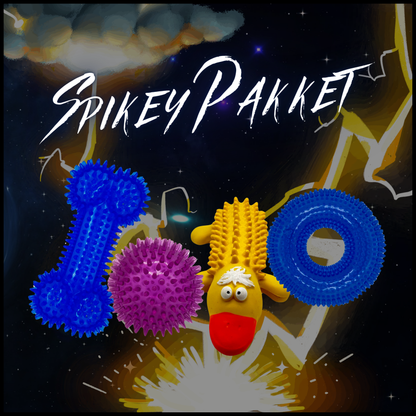 Spikey Pakket, hondenspeelgoed set met stekelige bal, kauwbot, ring en eend, ideaal voor speelplezier.