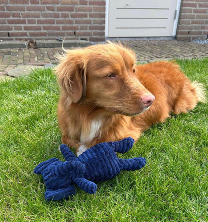 Bruine hond ligt ontspannen in het gras met de zachte knuffel Ollie Olifant tussen zijn poten.