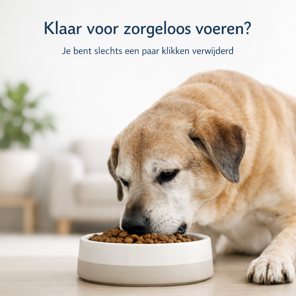 Hondenvoer abonnement - 12kg Lifetime Ageing & Dieet