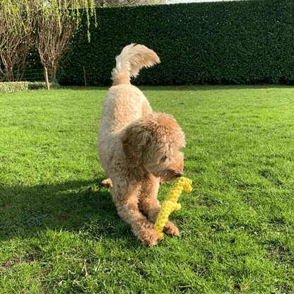 Hond speelt met een geel giraffe flosspeeltje in het gras.