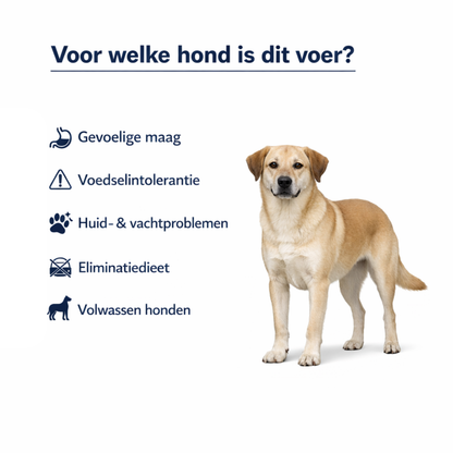 Enova hondenvoer - Mono Lamb