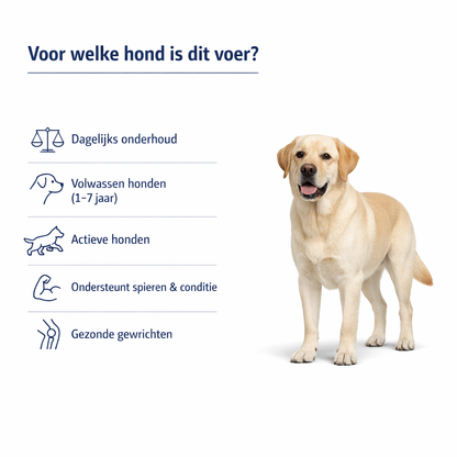 Hondenvoer abonnement - 12kg Lifetime Maintenance