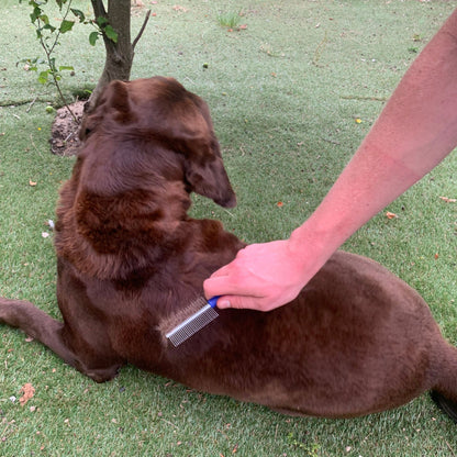 Dubbelzijdige hondenkam