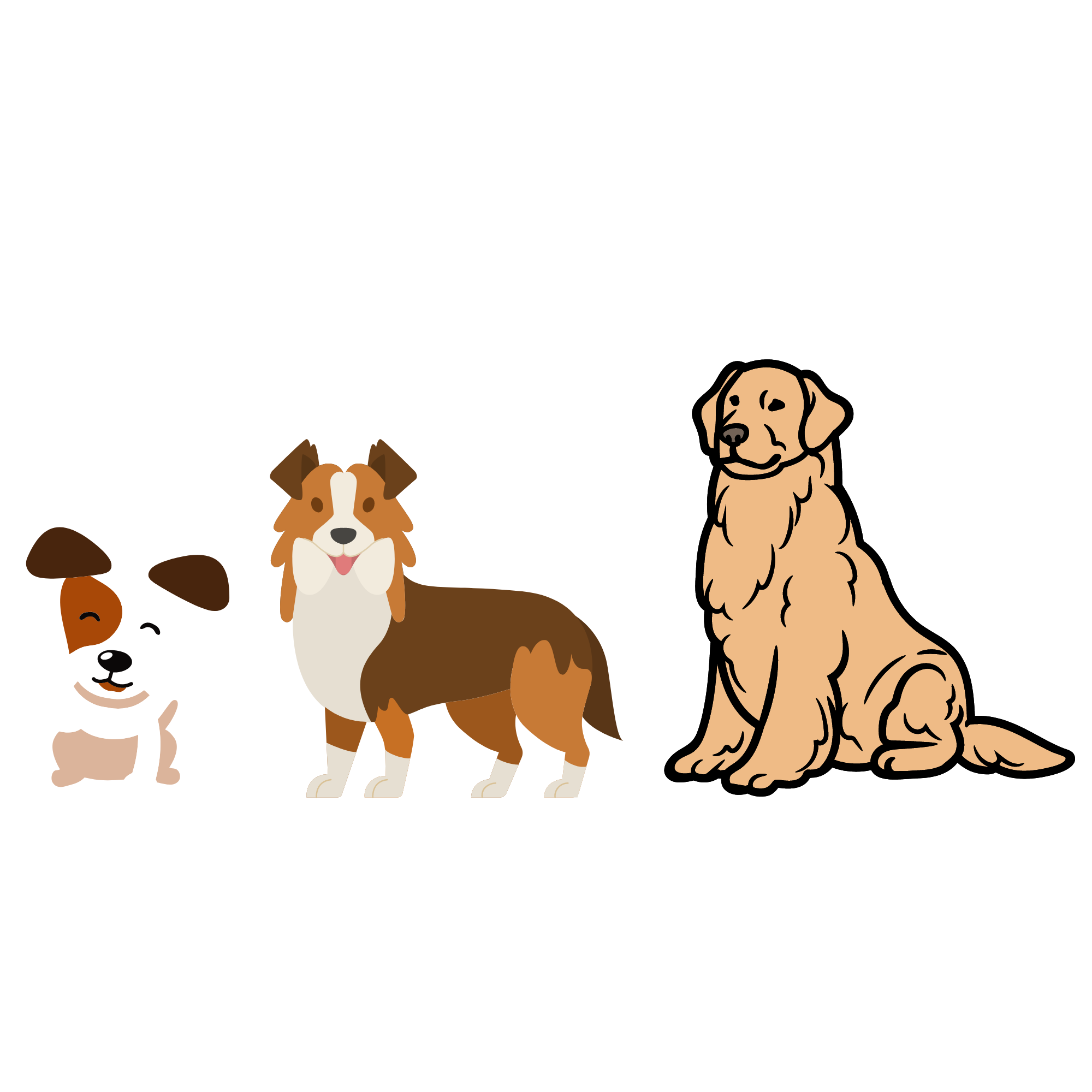 Illustratie van drie honden, een kleine, een medium en een grote hond. 