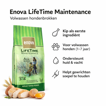 Enova hondevoer - LifeTime Maintenance