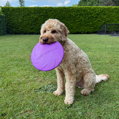 Flitsende Frisbee