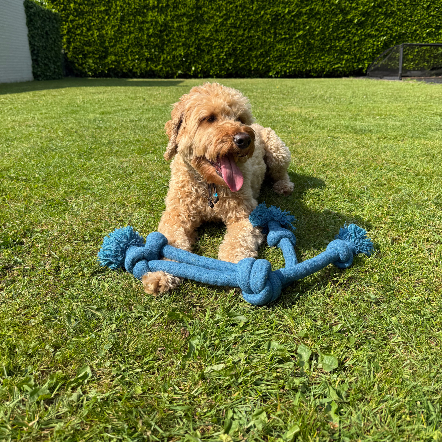 Flinke Flos
